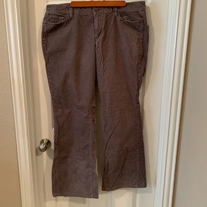 Ann Taylor Loft curvy boot corduroy pants